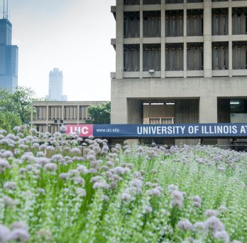University Hall with purple flowers in the foreground and Willis Tower in the distance. 
